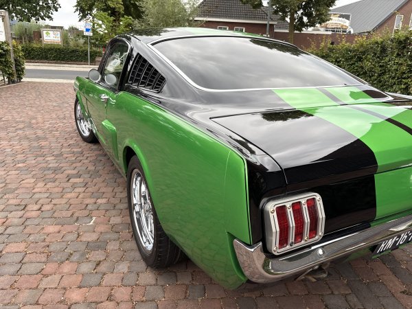 Mustang Fastback V8 408 media 5