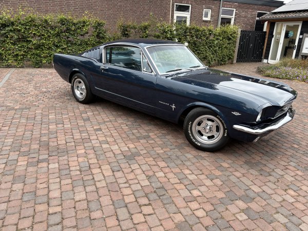 Mustang Fastback C-Code media 22