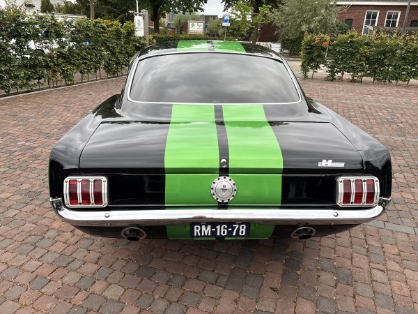 Mustang Fastback V8 408 media 3