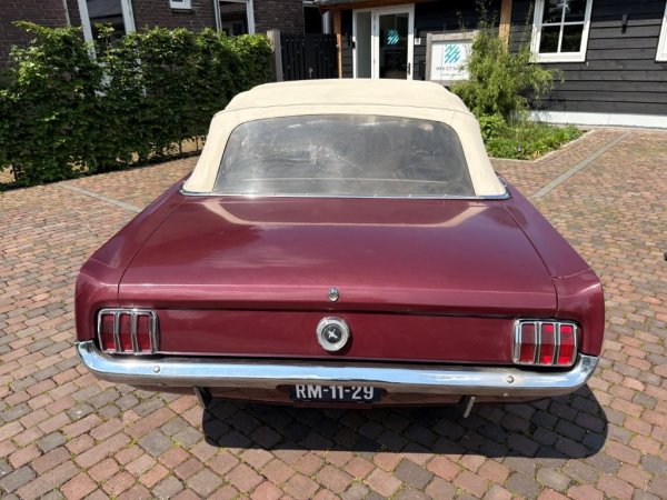 Mustang Convertible T-Code media 19